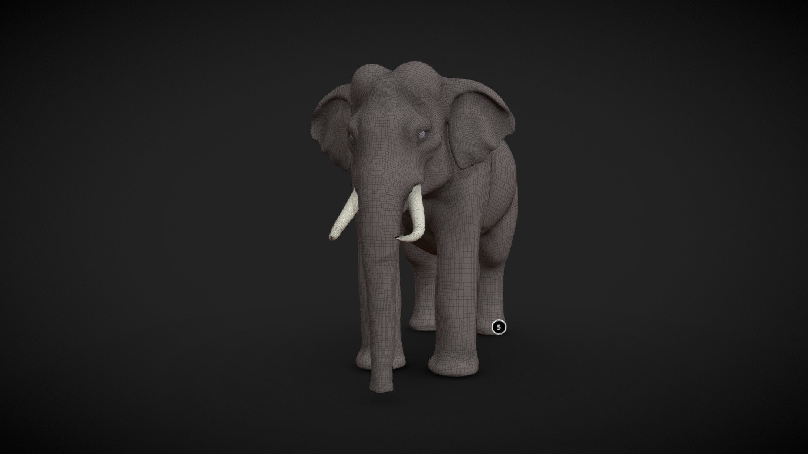 Asian Elephant male Base Mesh Low-poly 3D model_2