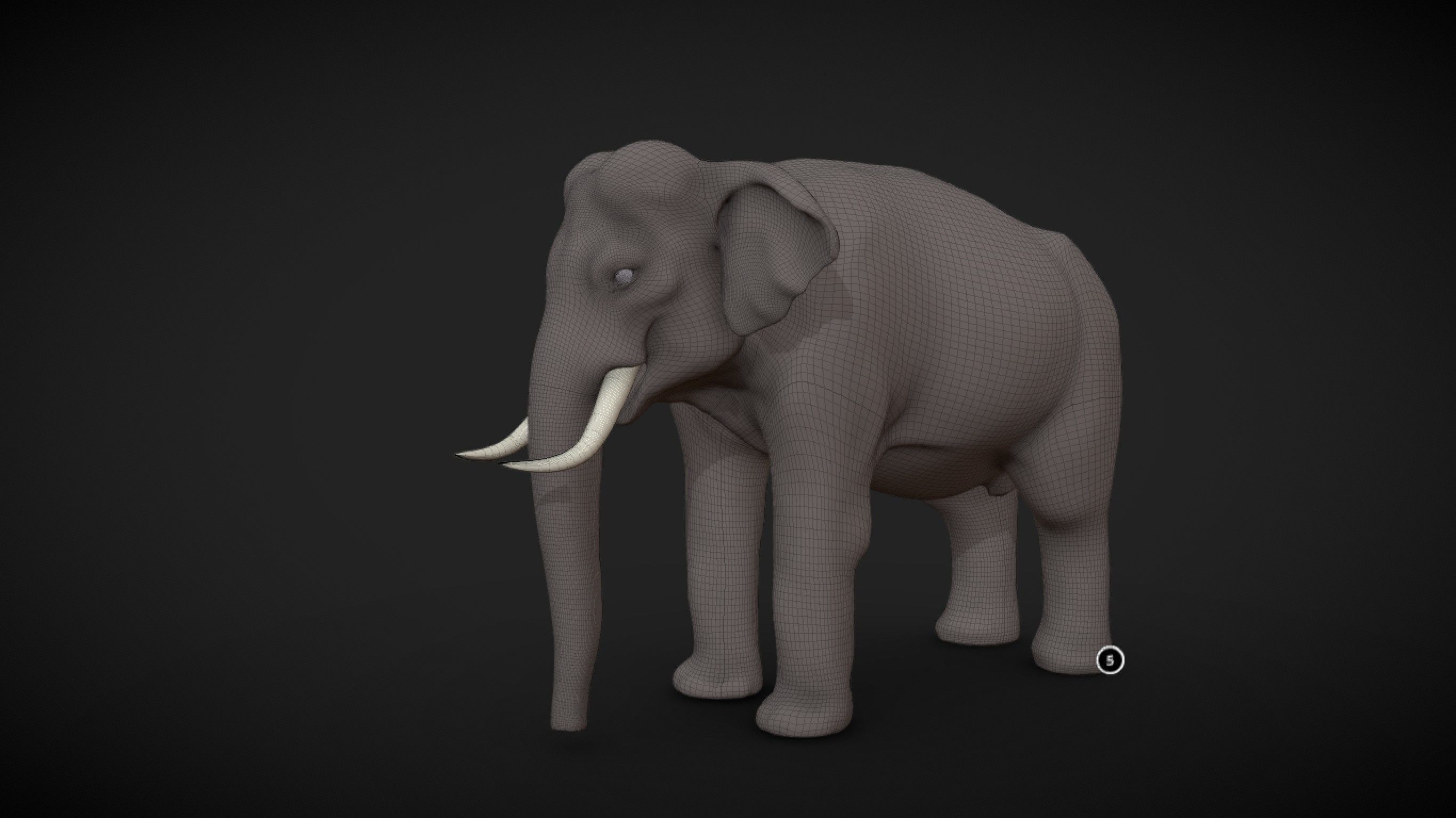 Asian Elephant male Base Mesh Low-poly 3D model_1