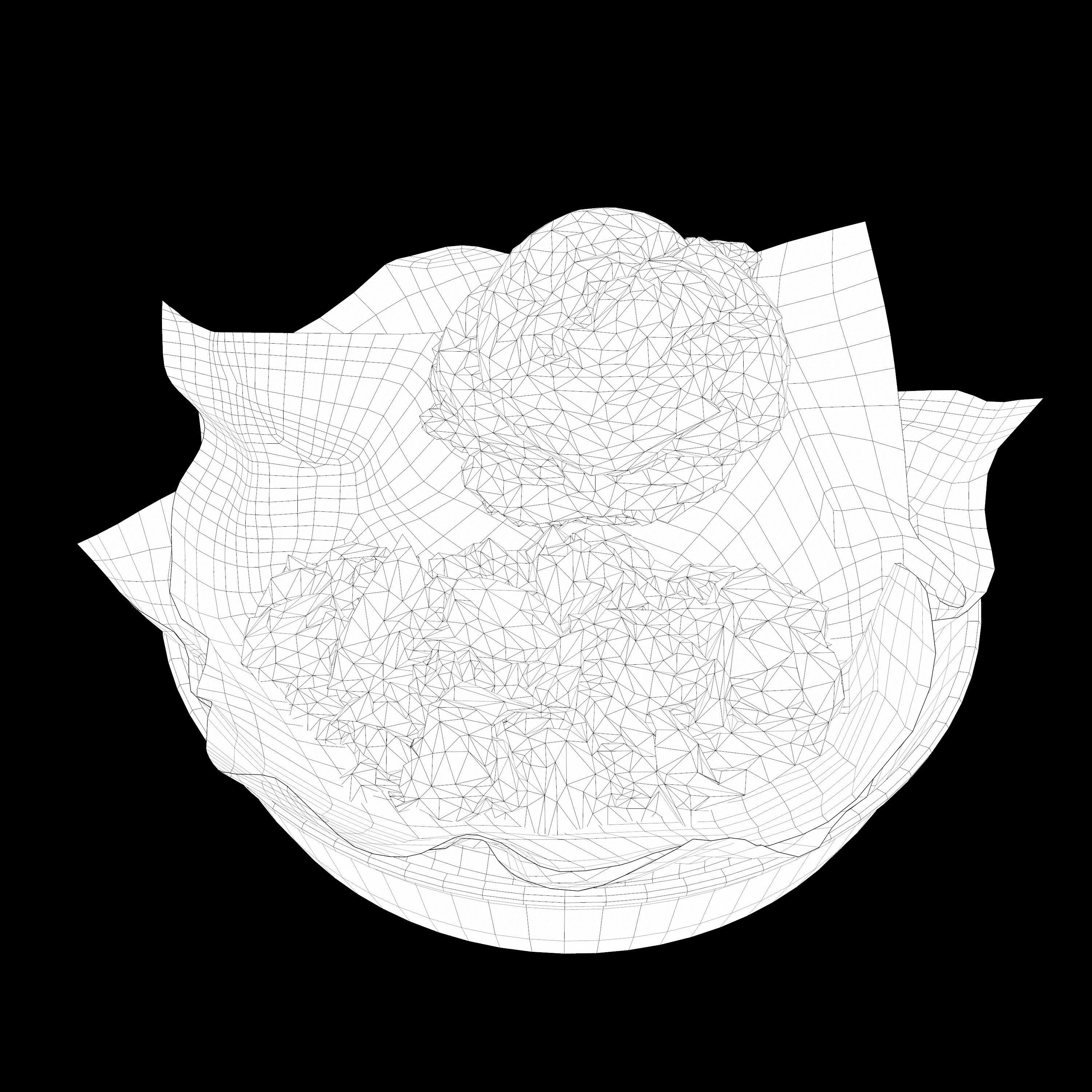 low poly model of burger with greek salad Low-poly 3D model_13