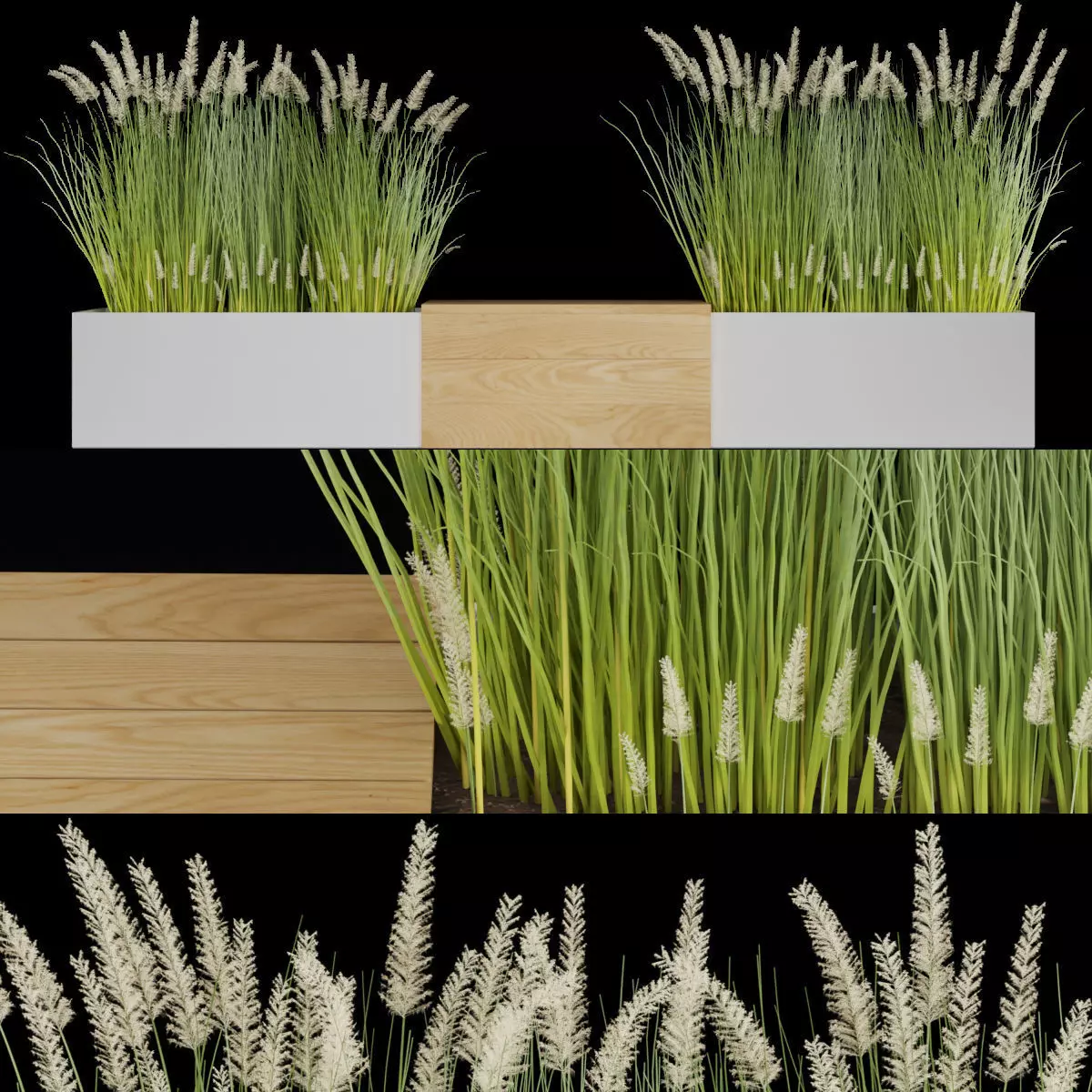 plant 010 3D model