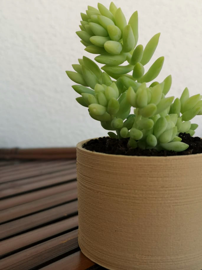 Landy vase - Basic 5 3D print model_1