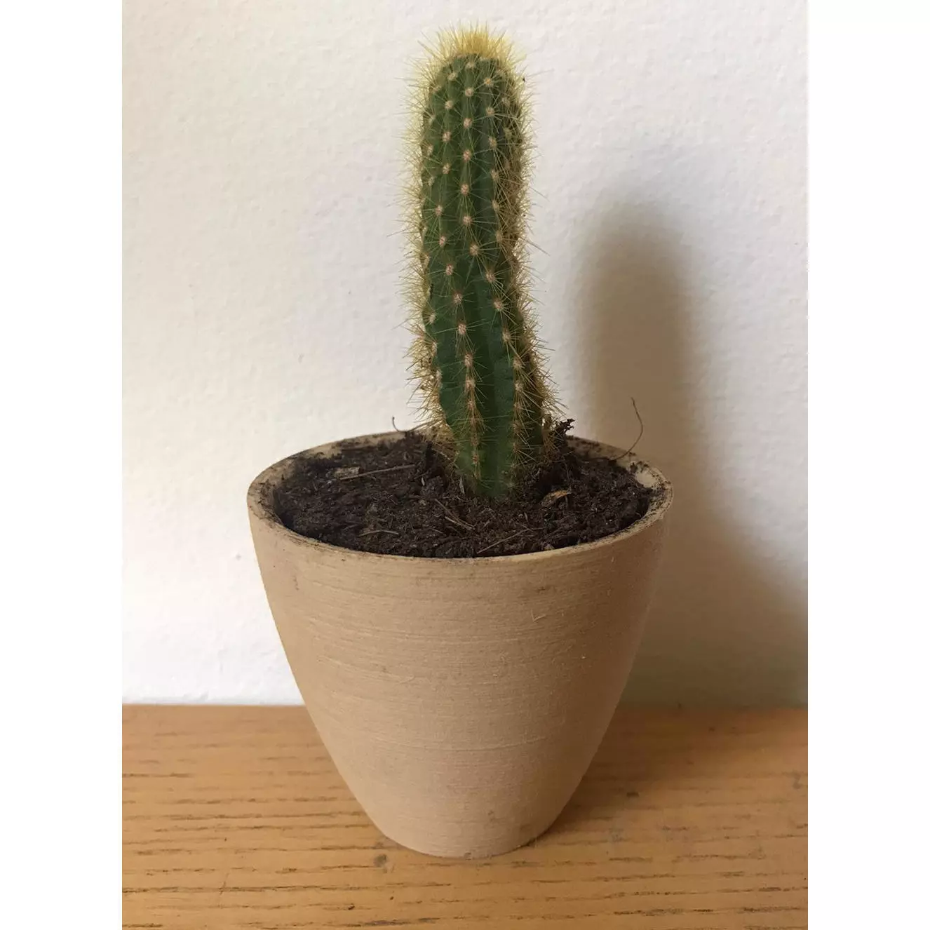 Landy vase - Basic 1 3D print model