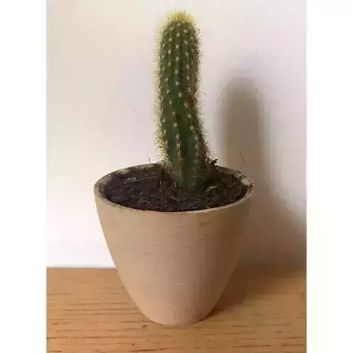 Landy vase - Basic 1