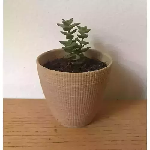 Landy vase - Striped 1