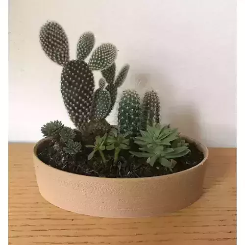 Landy vase - Basic 10