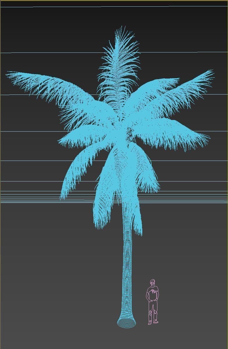 COCONUT TREE 01 - VISUALWORKS STORE - VRAY AND CORONA 3D model_3