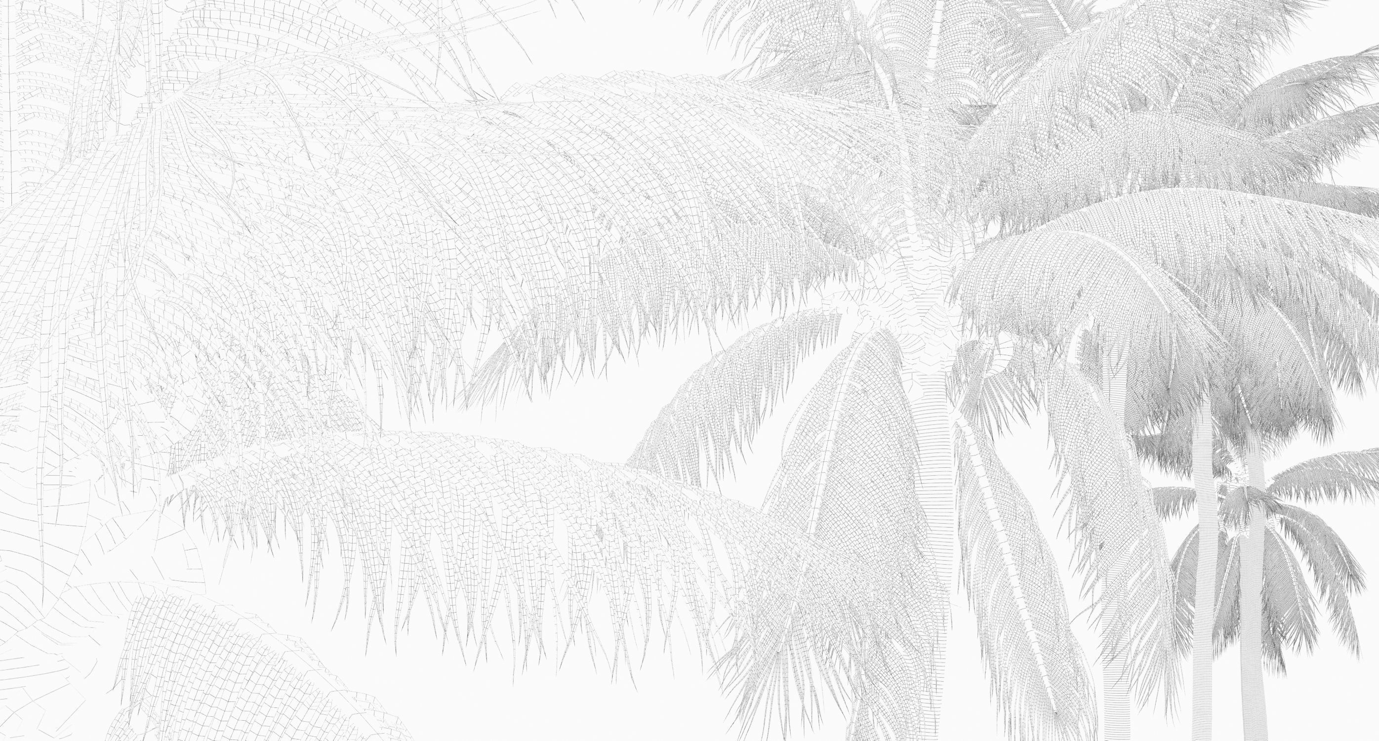 COCONUT TREE 01 - VISUALWORKS STORE - VRAY AND CORONA 3D model_9