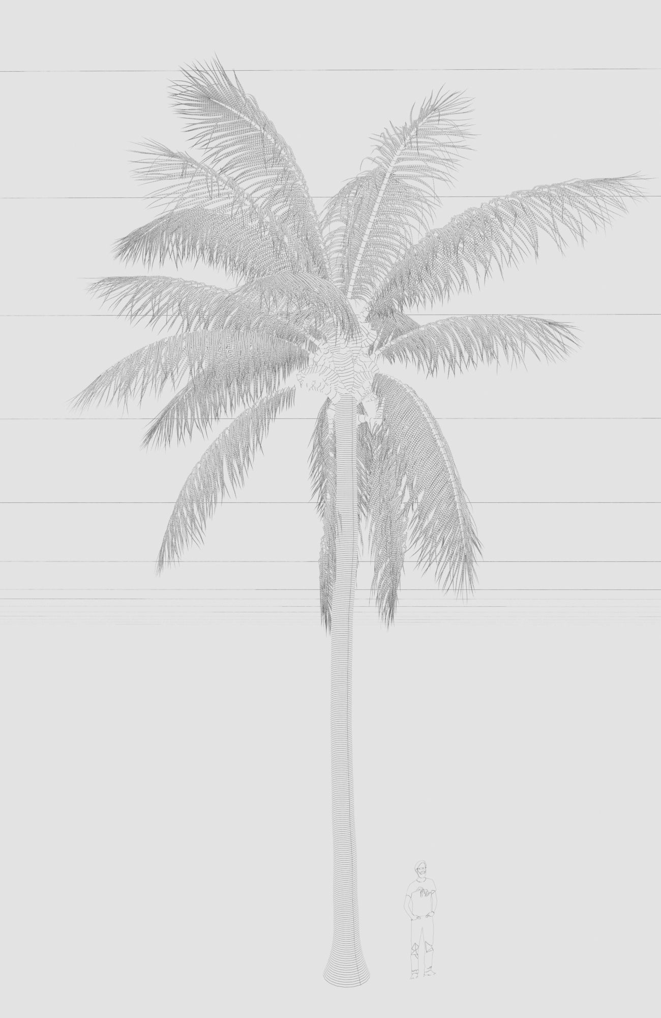 COCONUT TREE 02 - VISUALWORKS STORE - VRAY AND CORONA 3D model_2