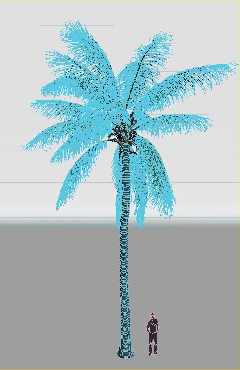 COCONUT TREE 02 - VISUALWORKS STORE - VRAY AND CORONA 3D model_4