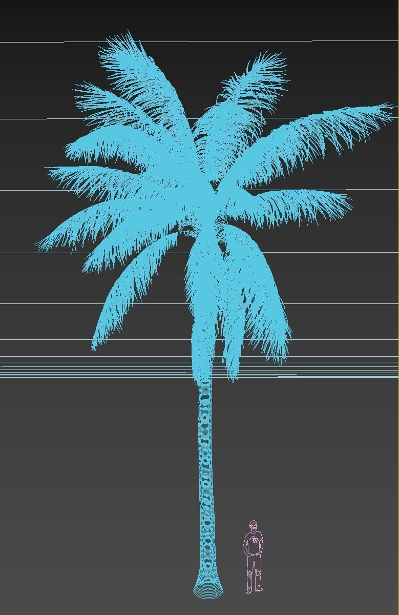 COCONUT TREE 02 - VISUALWORKS STORE - VRAY AND CORONA 3D model_3