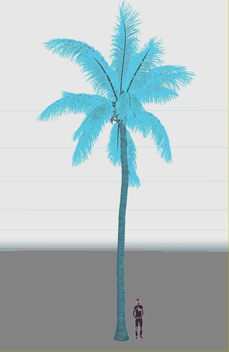COCONUT TREE 03 - VISUALWORKS STORE - VRAY AND CORONA 3D model_4