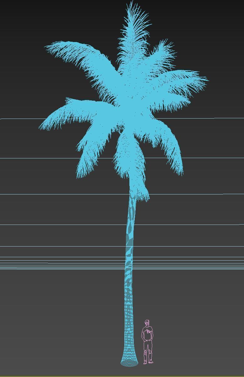 COCONUT TREE 03 - VISUALWORKS STORE - VRAY AND CORONA 3D model_3