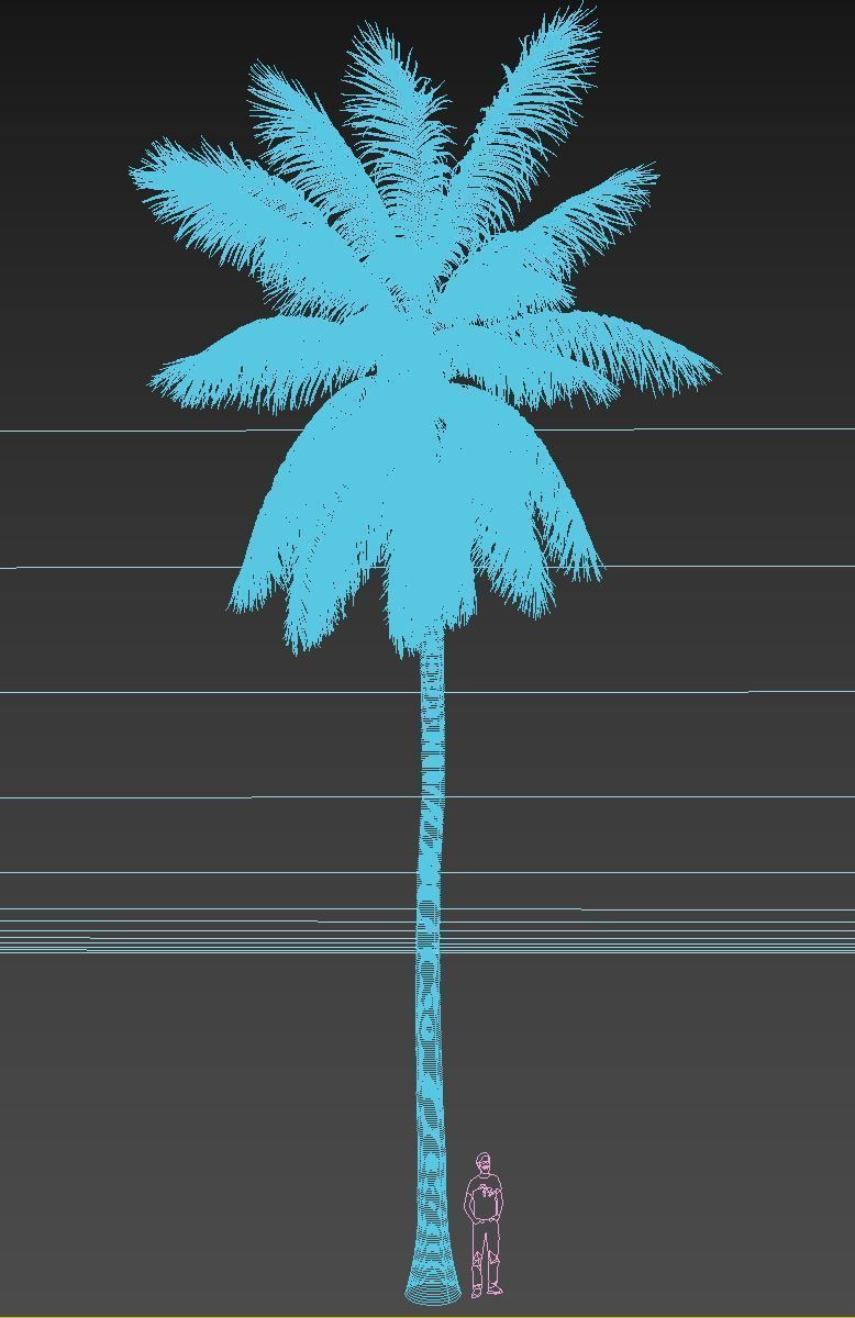 COCONUT TREE 04 - VISUALWORKS STORE - VRAY AND CORONA 3D model_3