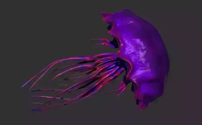   Purple jellyfish