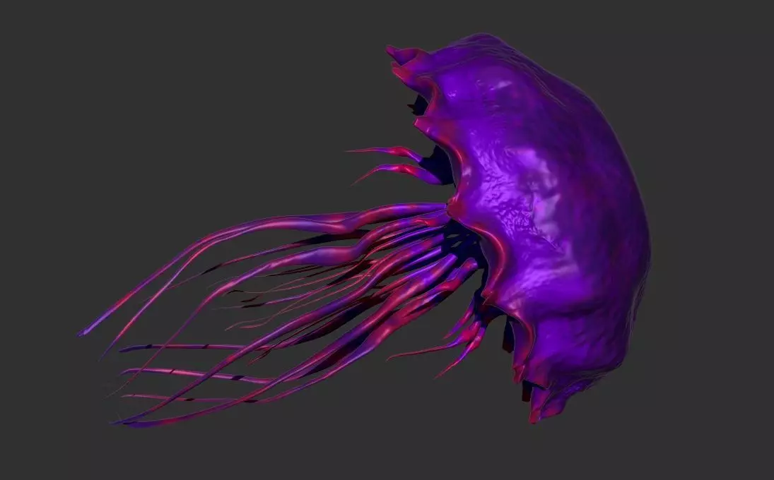 Purple jellyfish 3D model