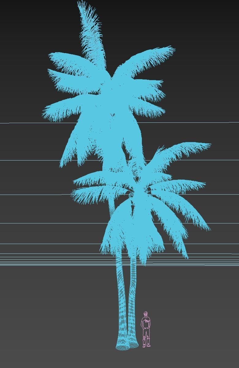 COCONUT TREE 05 - VISUALWORKS STORE - VRAY AND CORONA 3D model_3