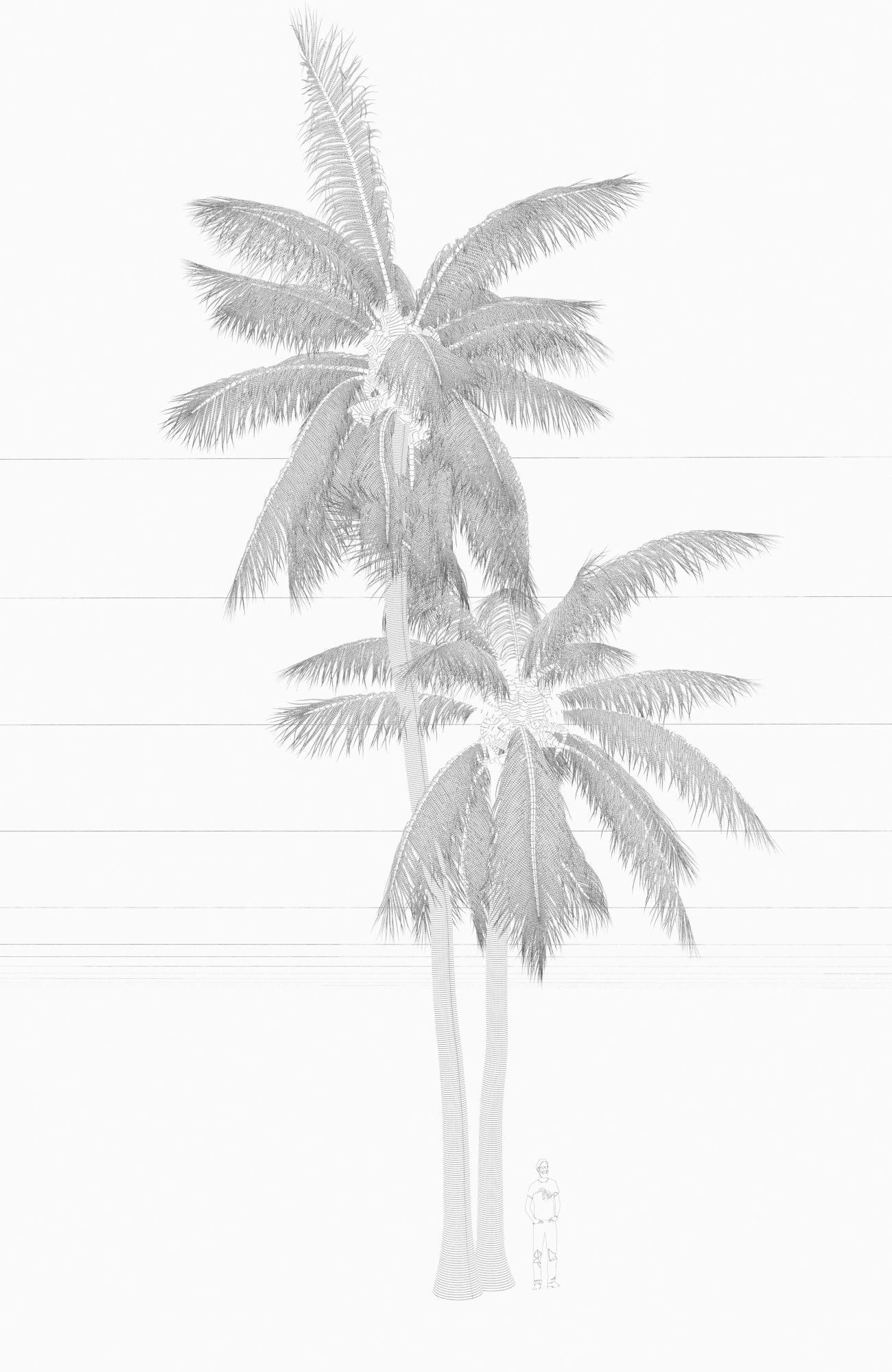 COCONUT TREE 05 - VISUALWORKS STORE - VRAY AND CORONA 3D model_2