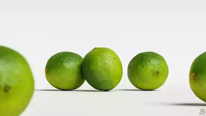 Lime  3D model