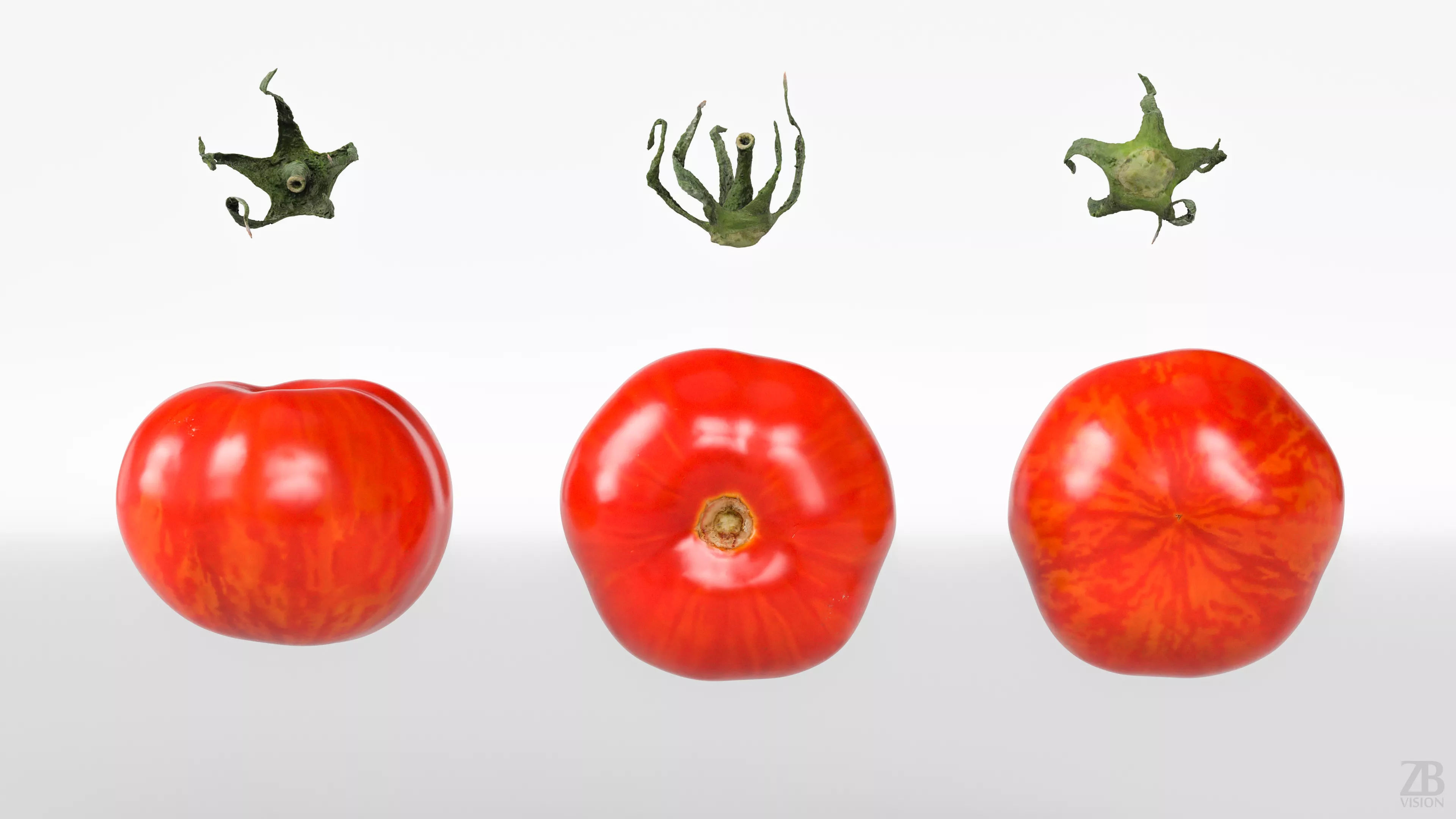 Tomato 3D model_4