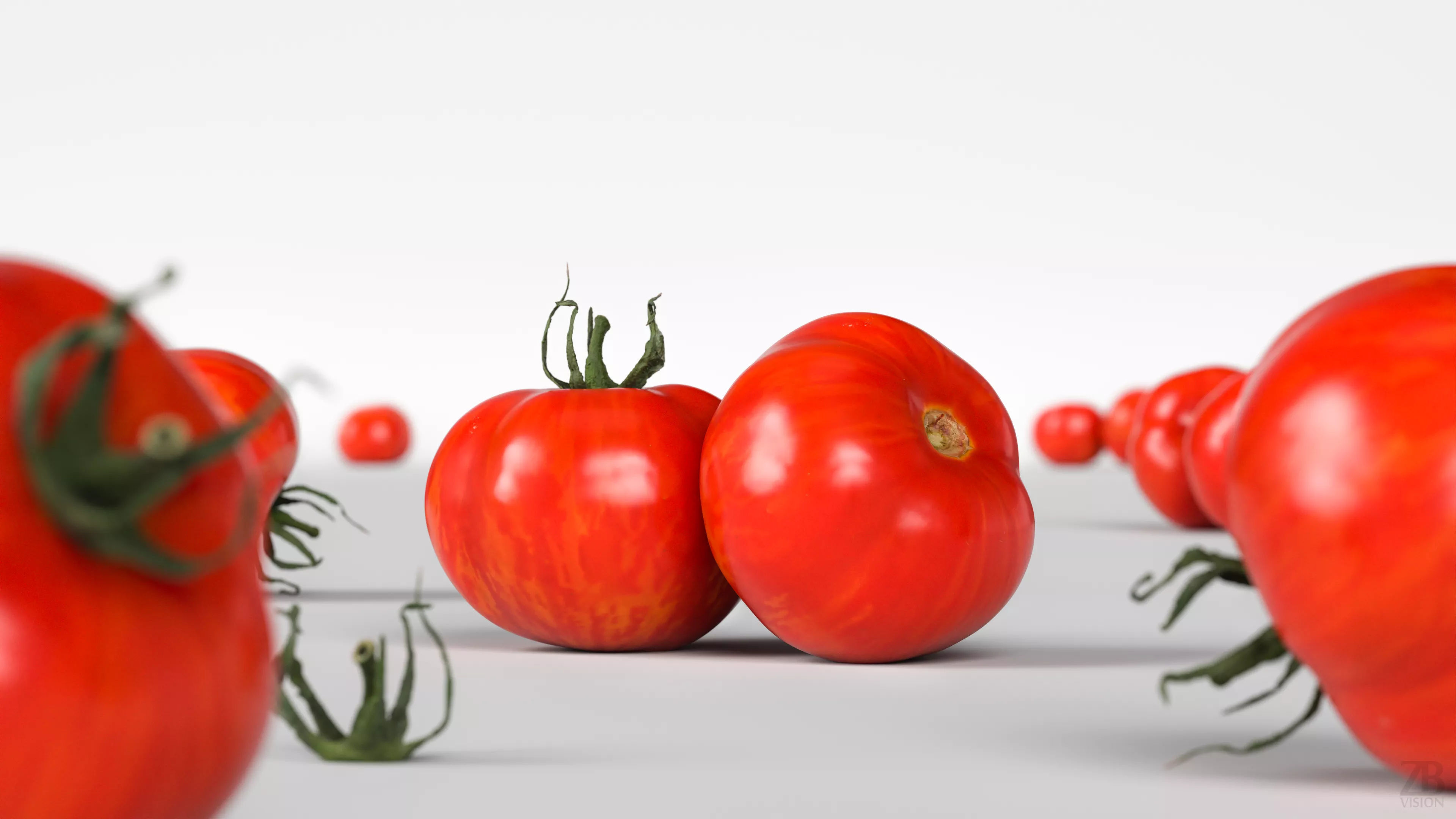 Tomato 3D model_1
