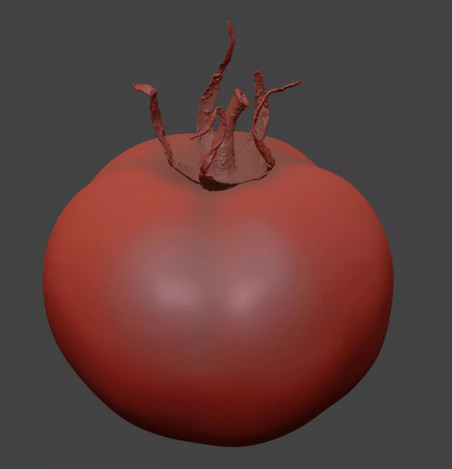 Tomato 3D model_7
