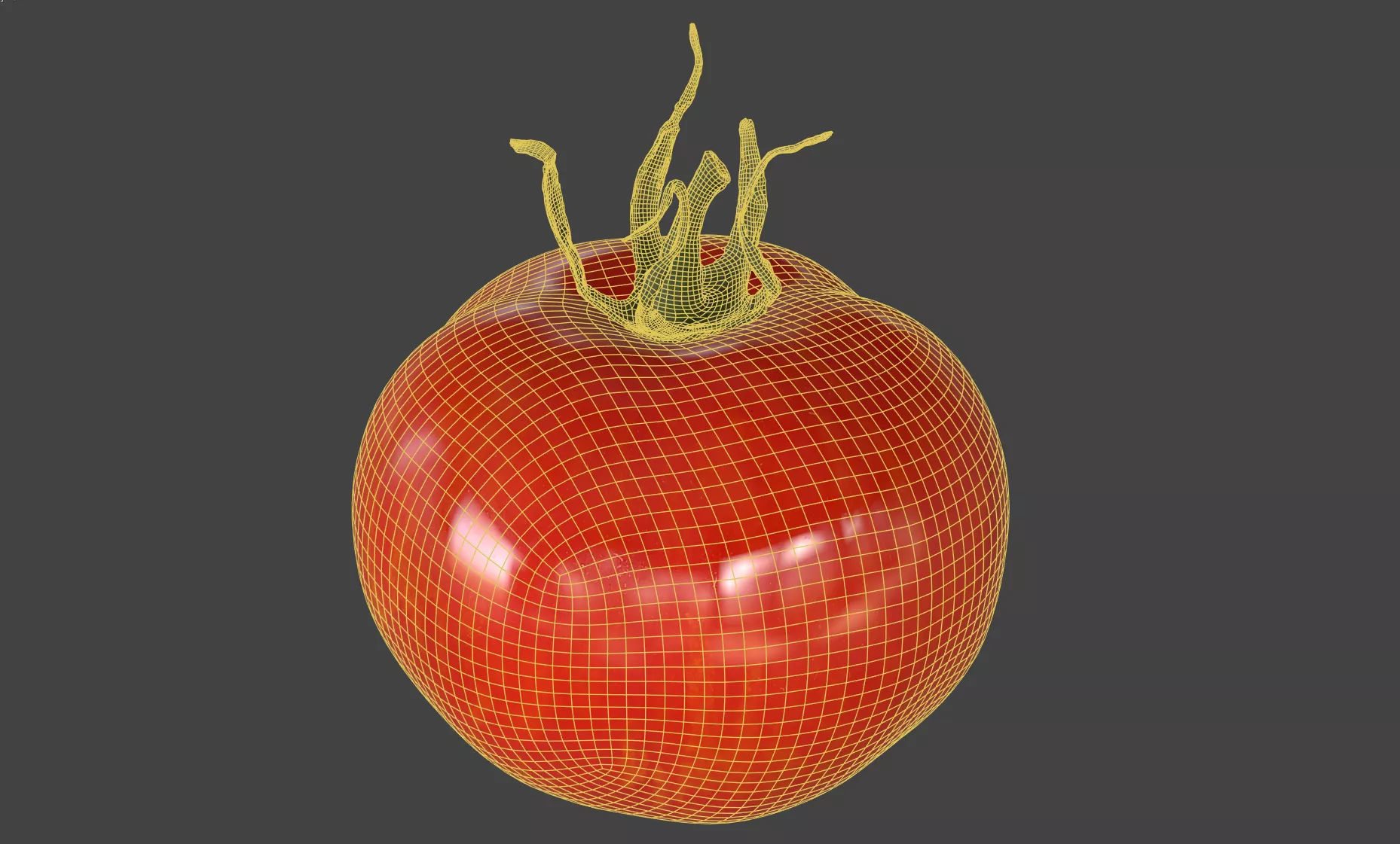 Tomato 3D model_6
