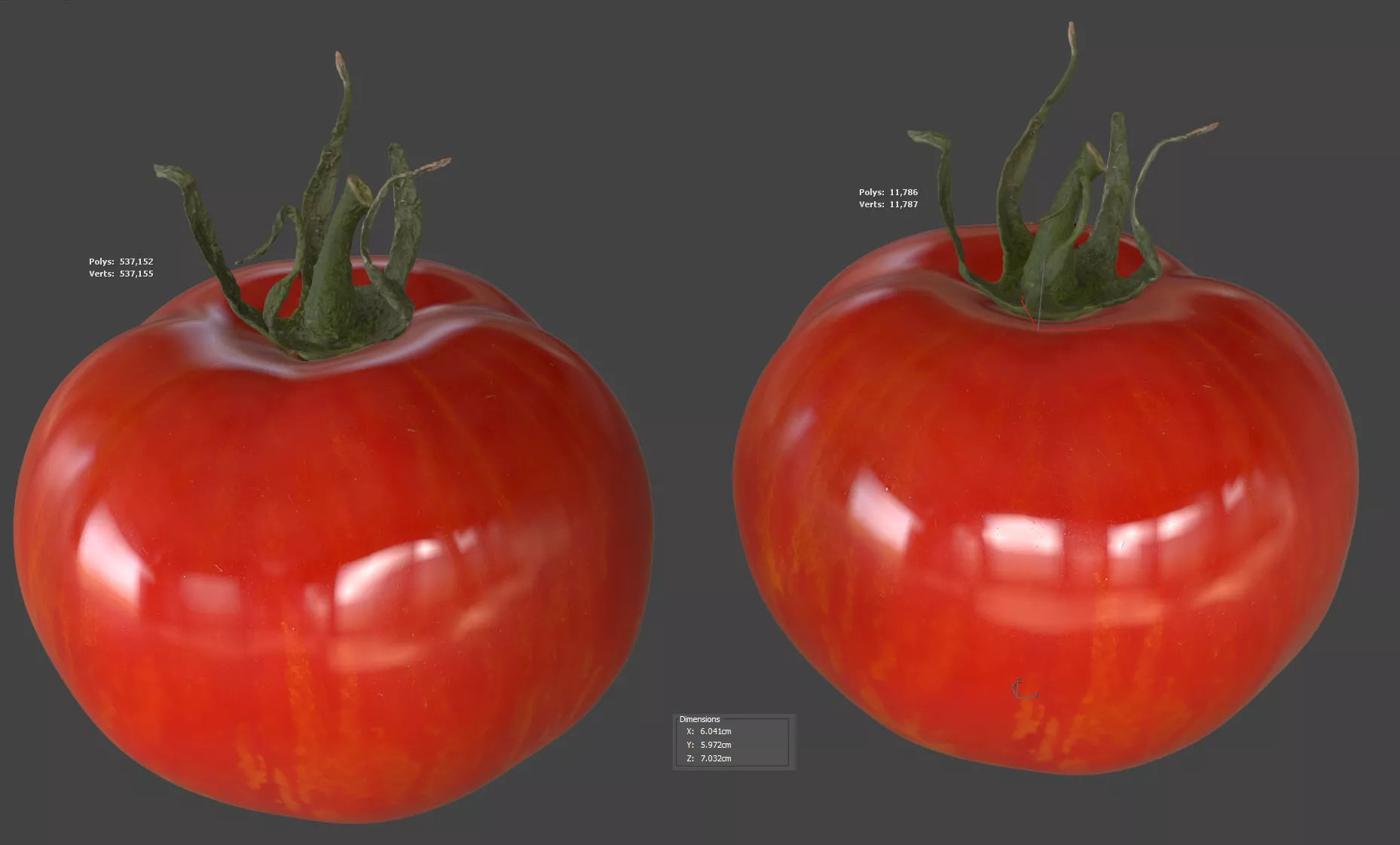 Tomato 3D model_5