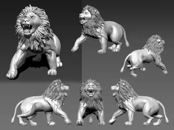 Lion sculpt in zbrush