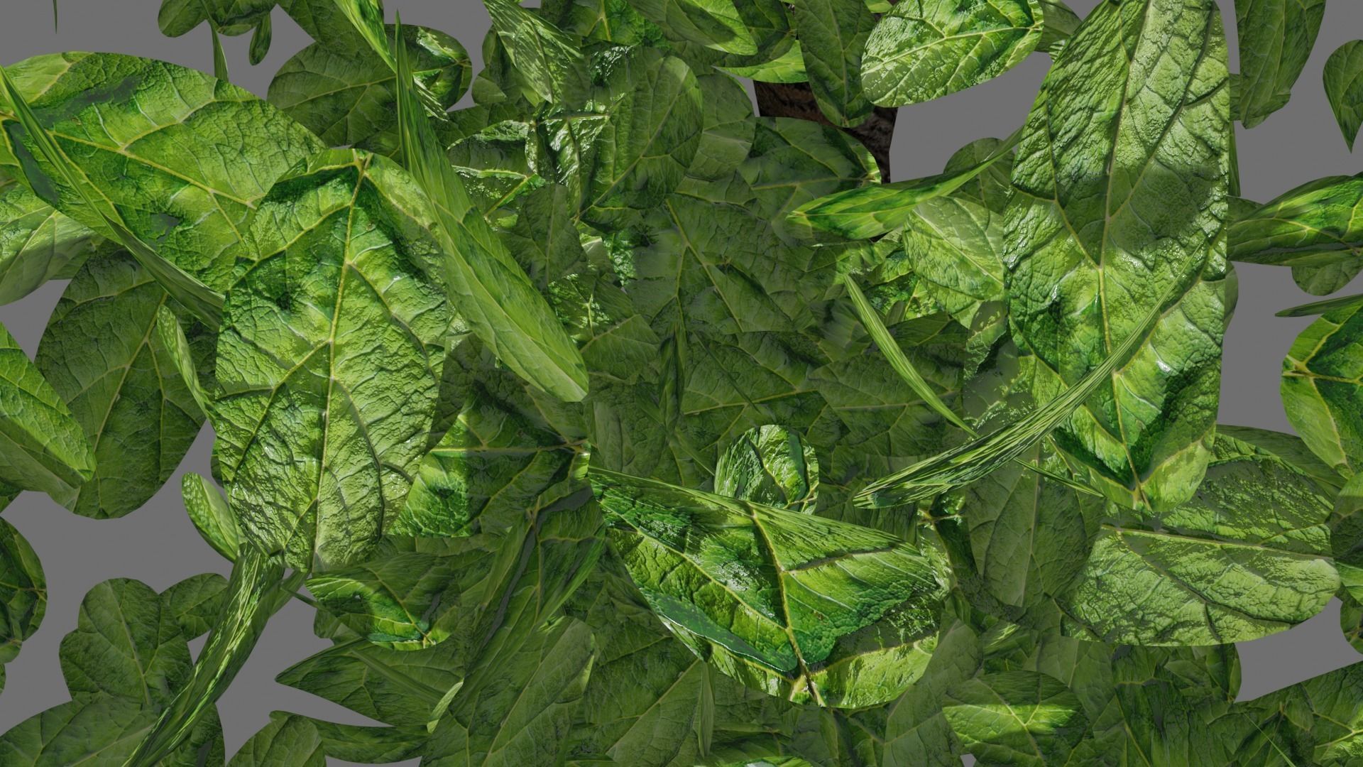 Tree PBR Free Free low-poly 3D model_1