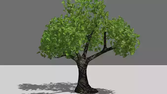 Tree PBR Free Free low-poly 3D model