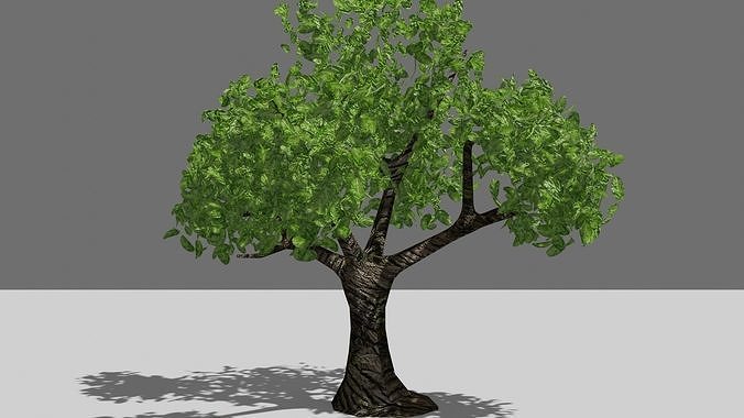 Tree PBR Free Free low-poly 3D model