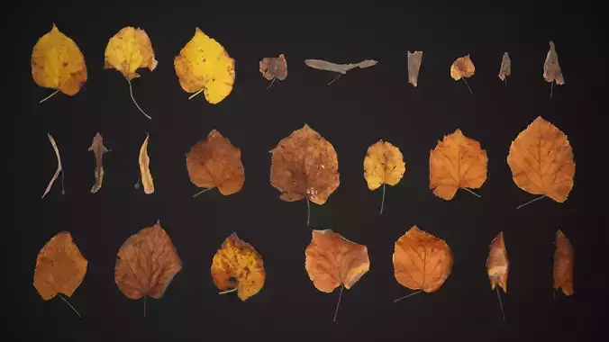 Tilia Dead Leaves 4K Scanned Low-poly 3D model