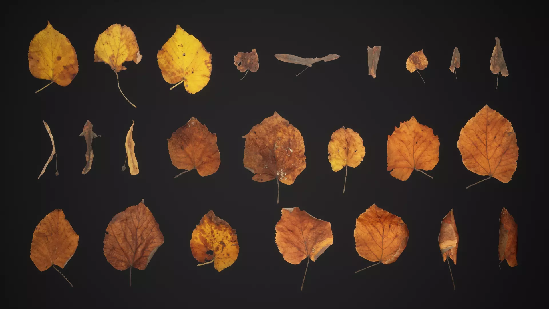 Tilia Dead Leaves 4K Scanned Low-poly 3D model_0