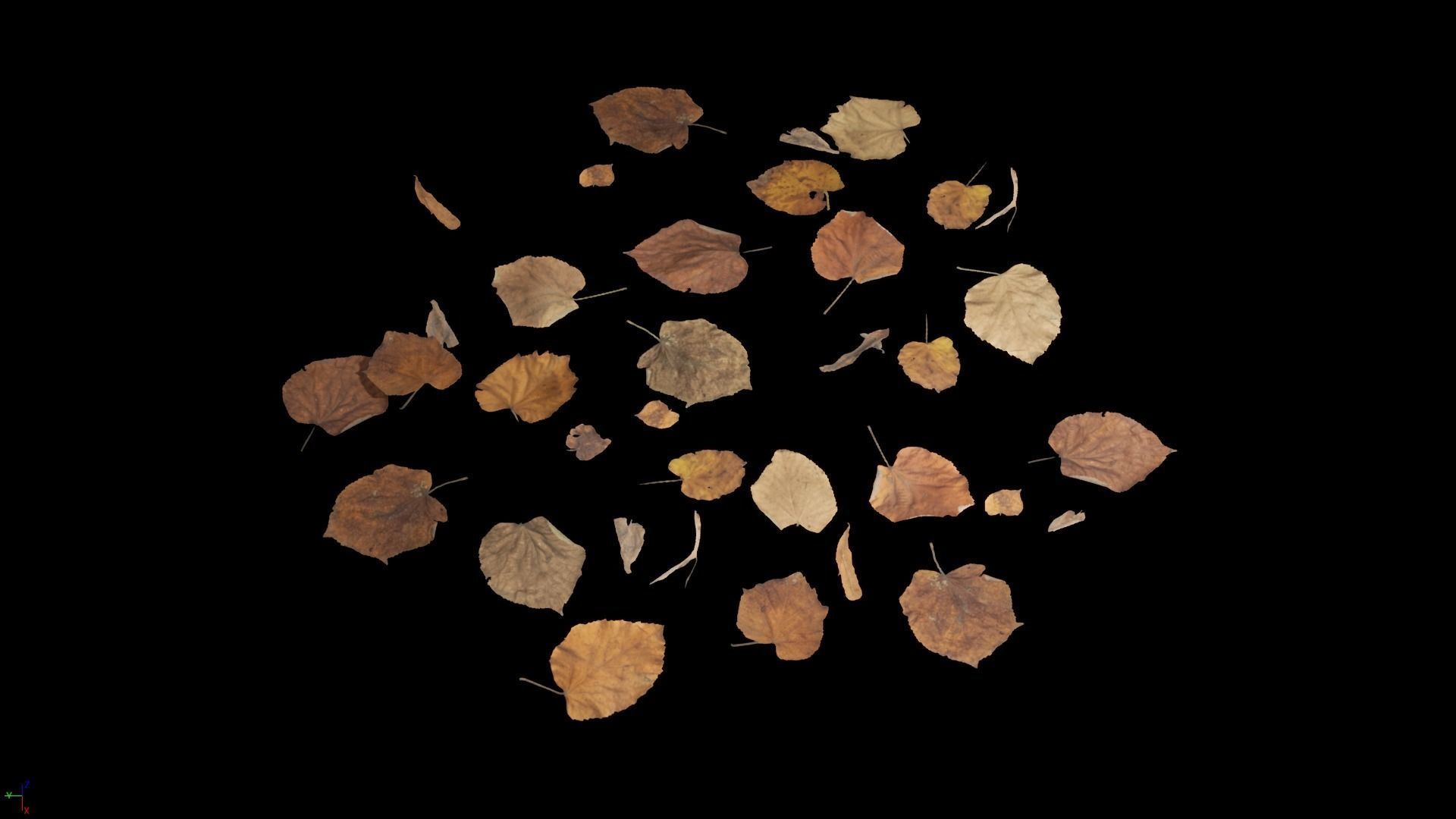 Tilia Dead Leaves 4K Scanned Low-poly 3D model_22