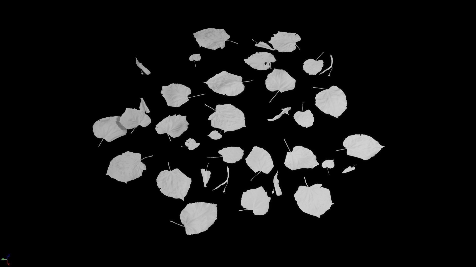 Tilia Dead Leaves 4K Scanned Low-poly 3D model_24