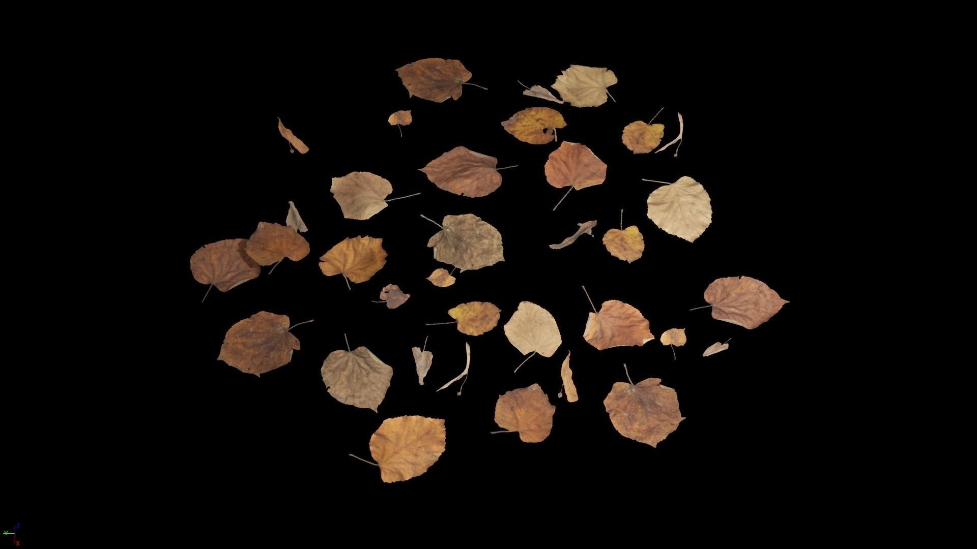 Tilia Dead Leaves 4K Scanned Low-poly 3D model_19
