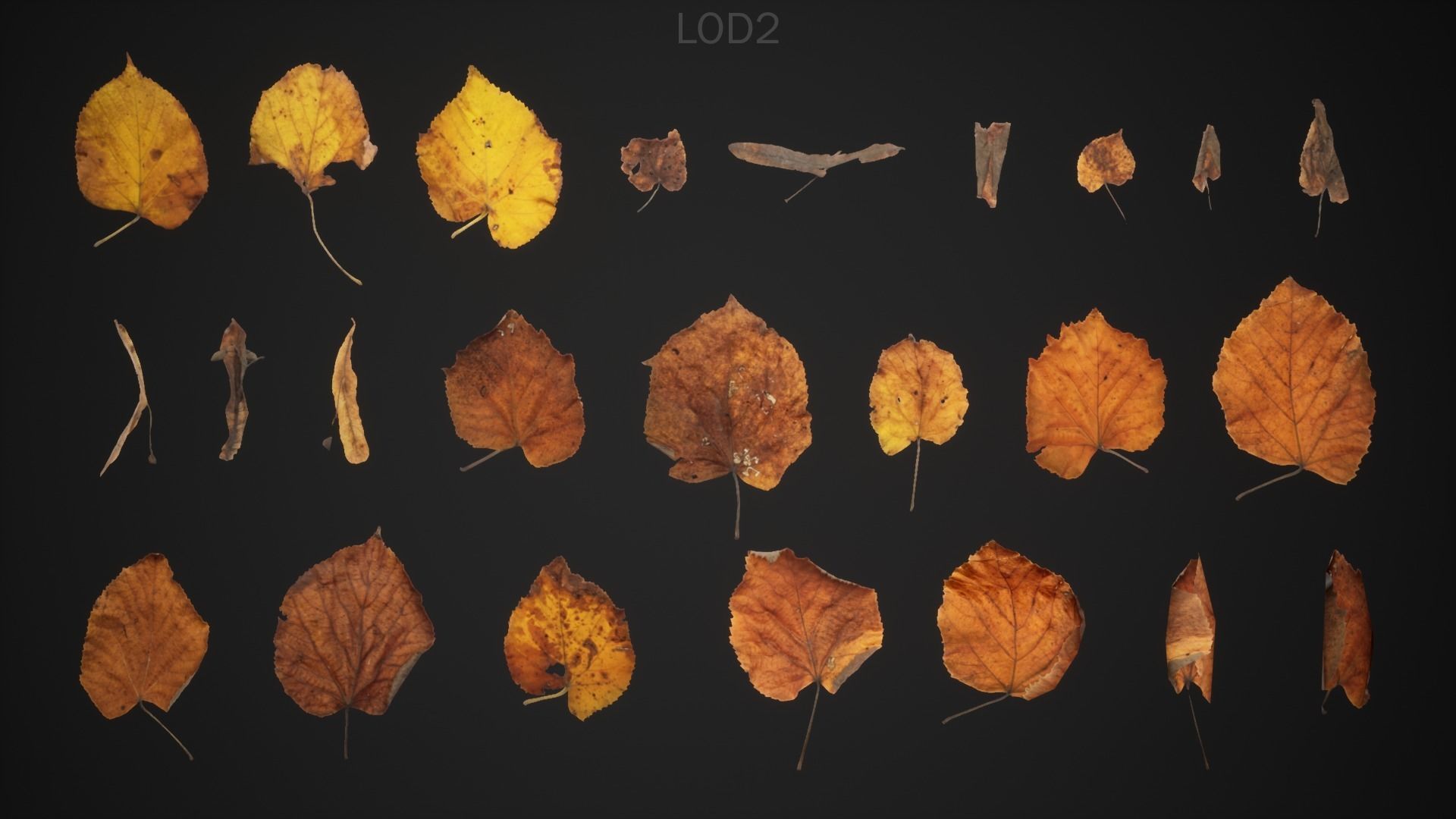 Tilia Dead Leaves 4K Scanned Low-poly 3D model_9