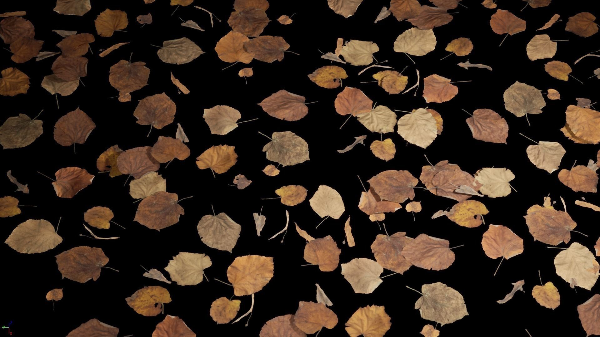 Tilia Dead Leaves 4K Scanned Low-poly 3D model_1