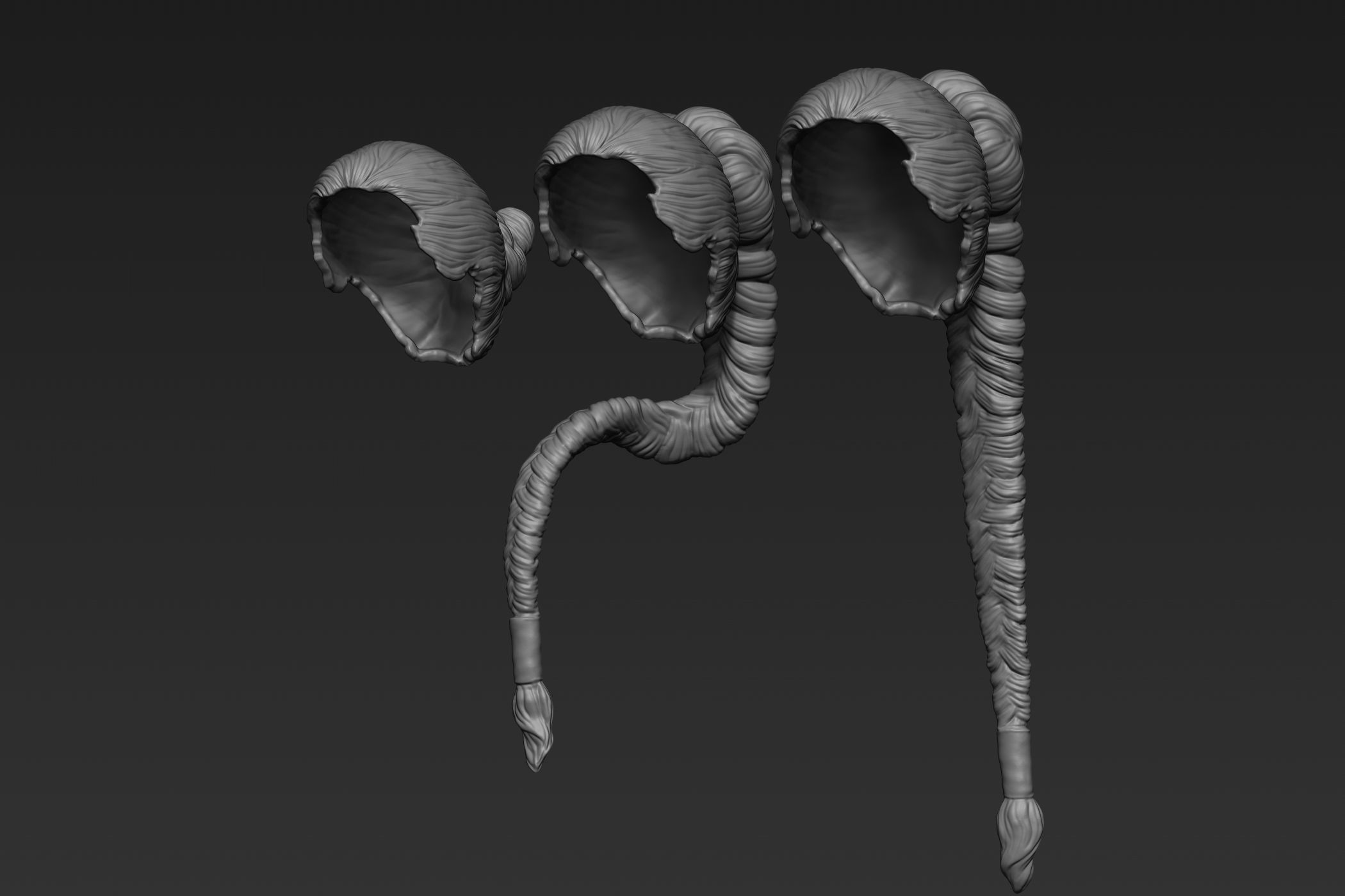 Female Hair Collection 3 3D model_5