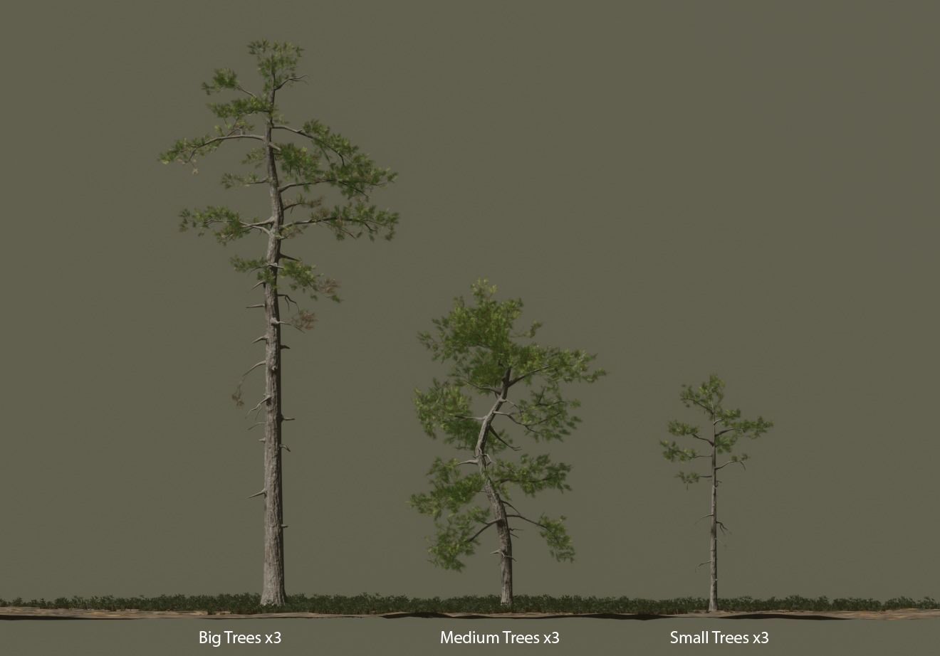 Pine trees forest Low-poly 3D model_2