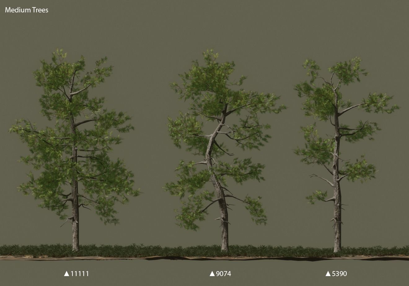 Pine trees forest Low-poly 3D model_4