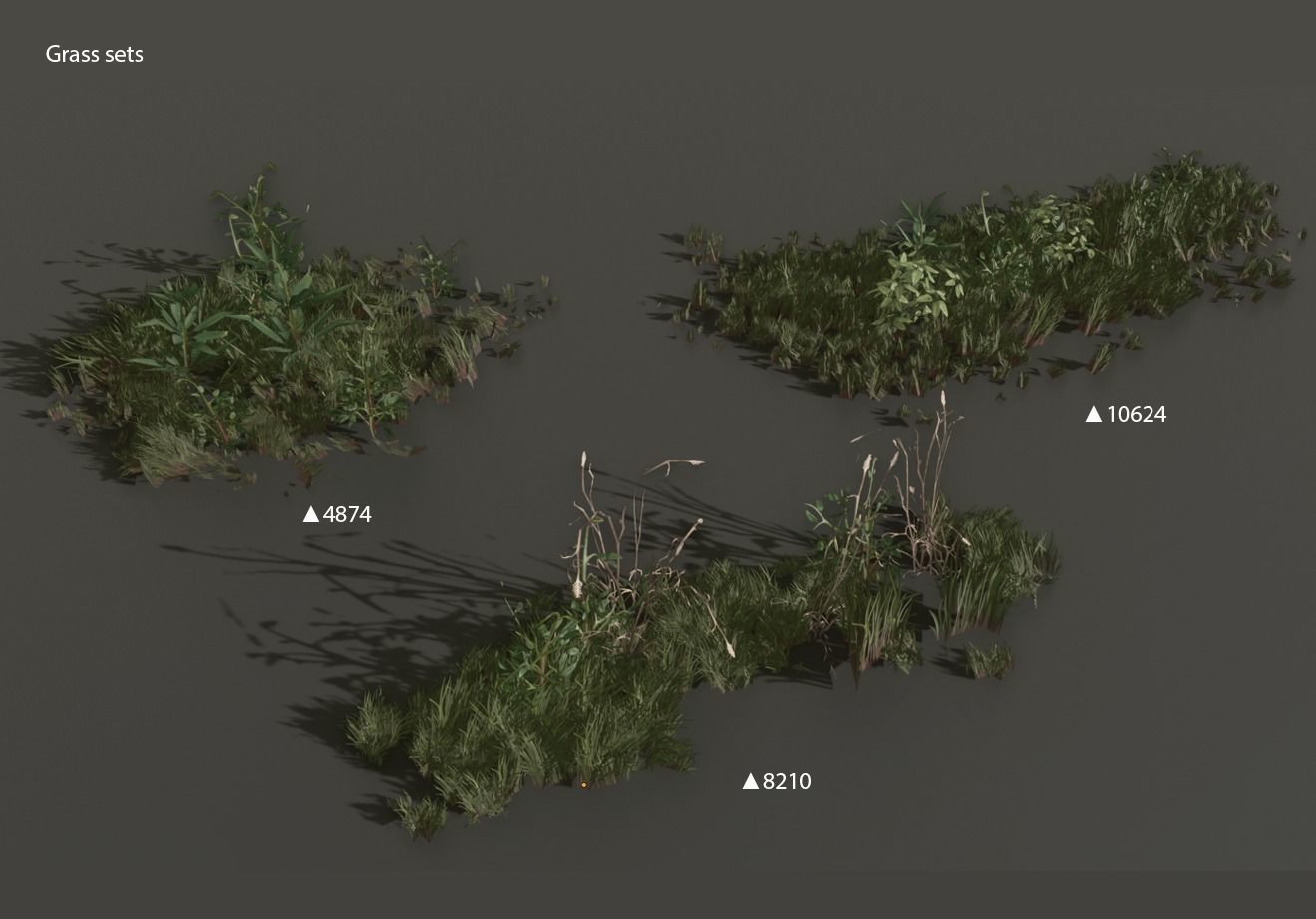 Pine trees forest Low-poly 3D model_6