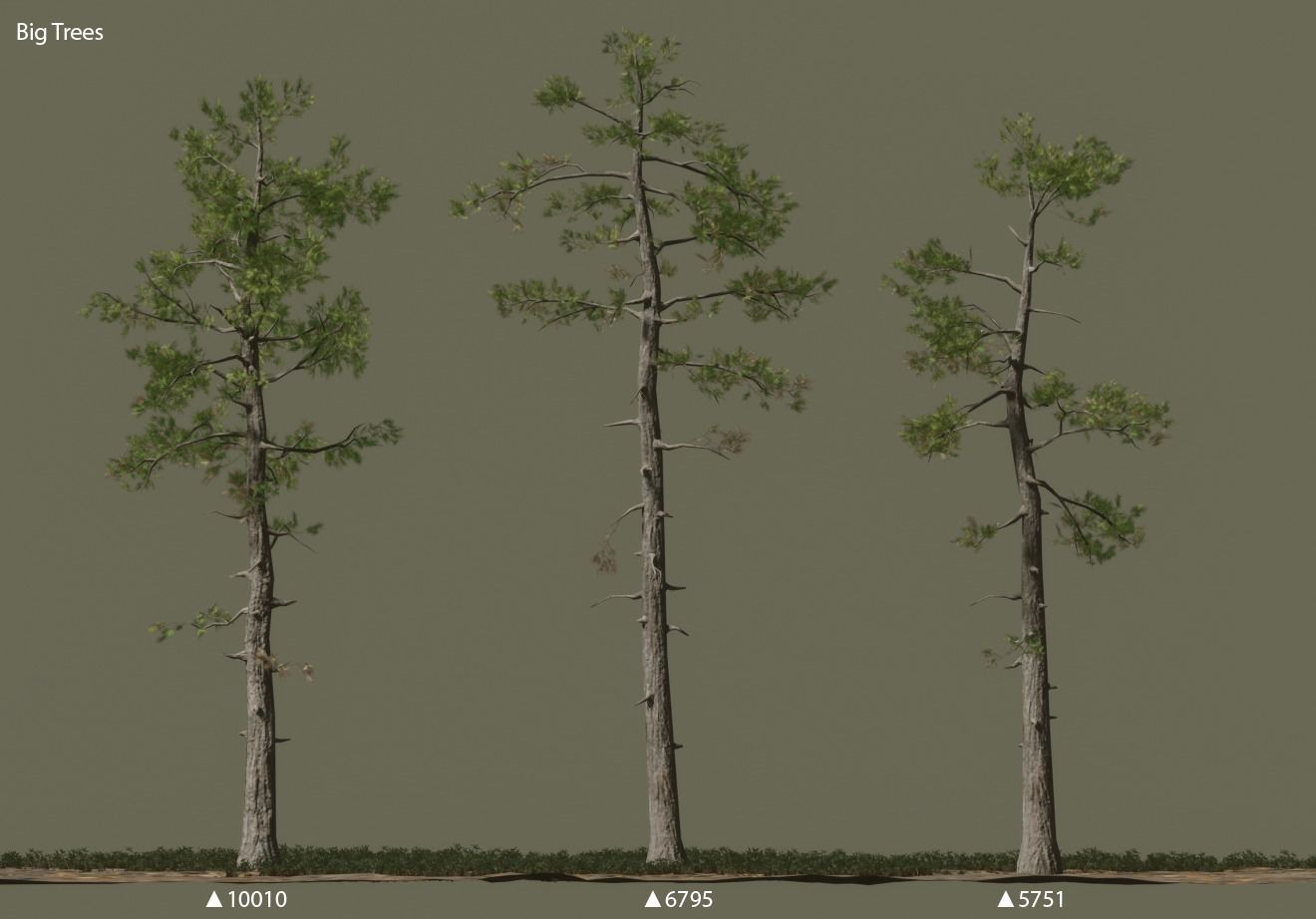 Pine trees forest Low-poly 3D model_3