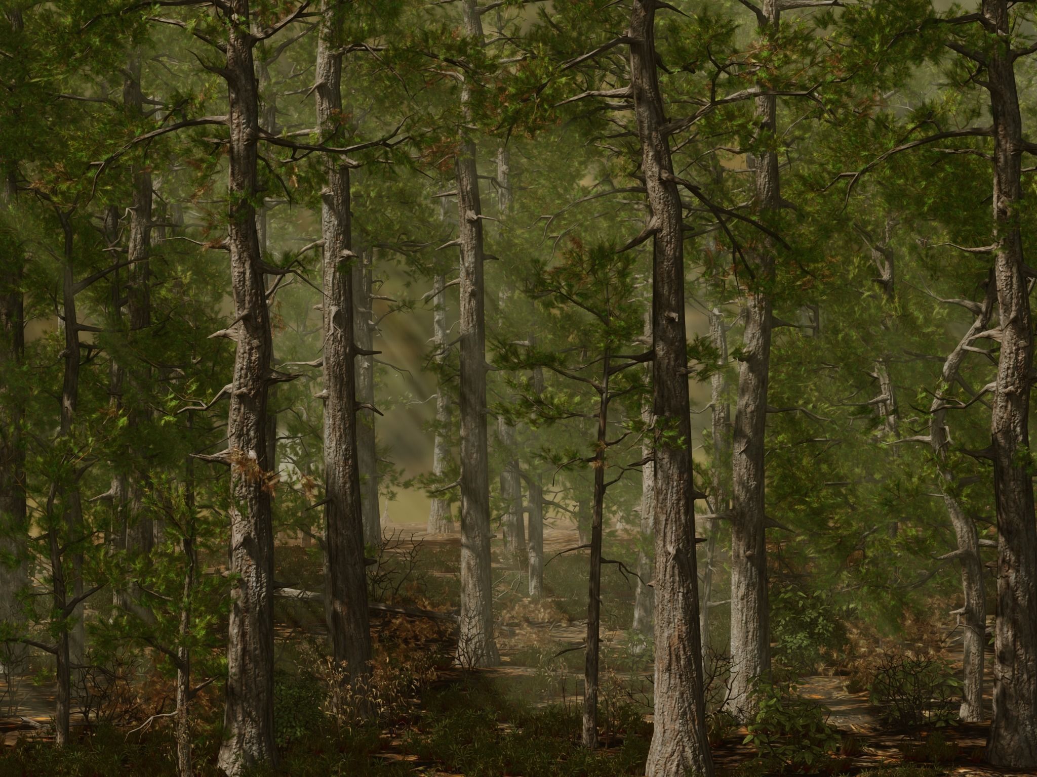 Pine trees forest Low-poly 3D model_1