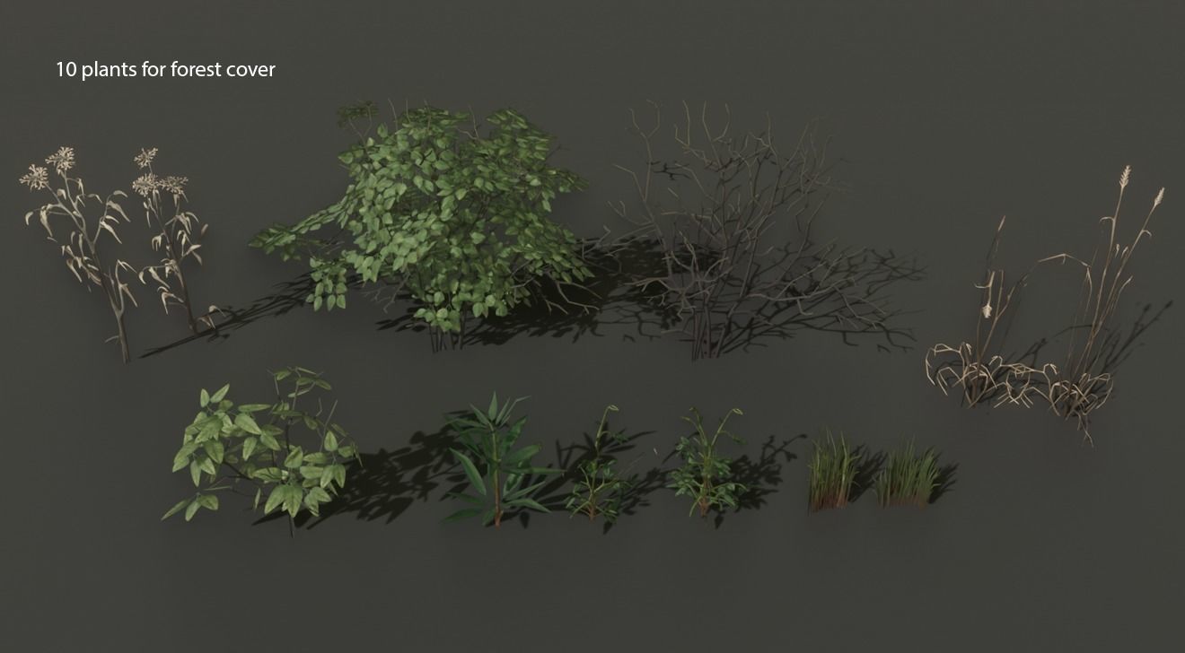 Pine trees forest Low-poly 3D model_7