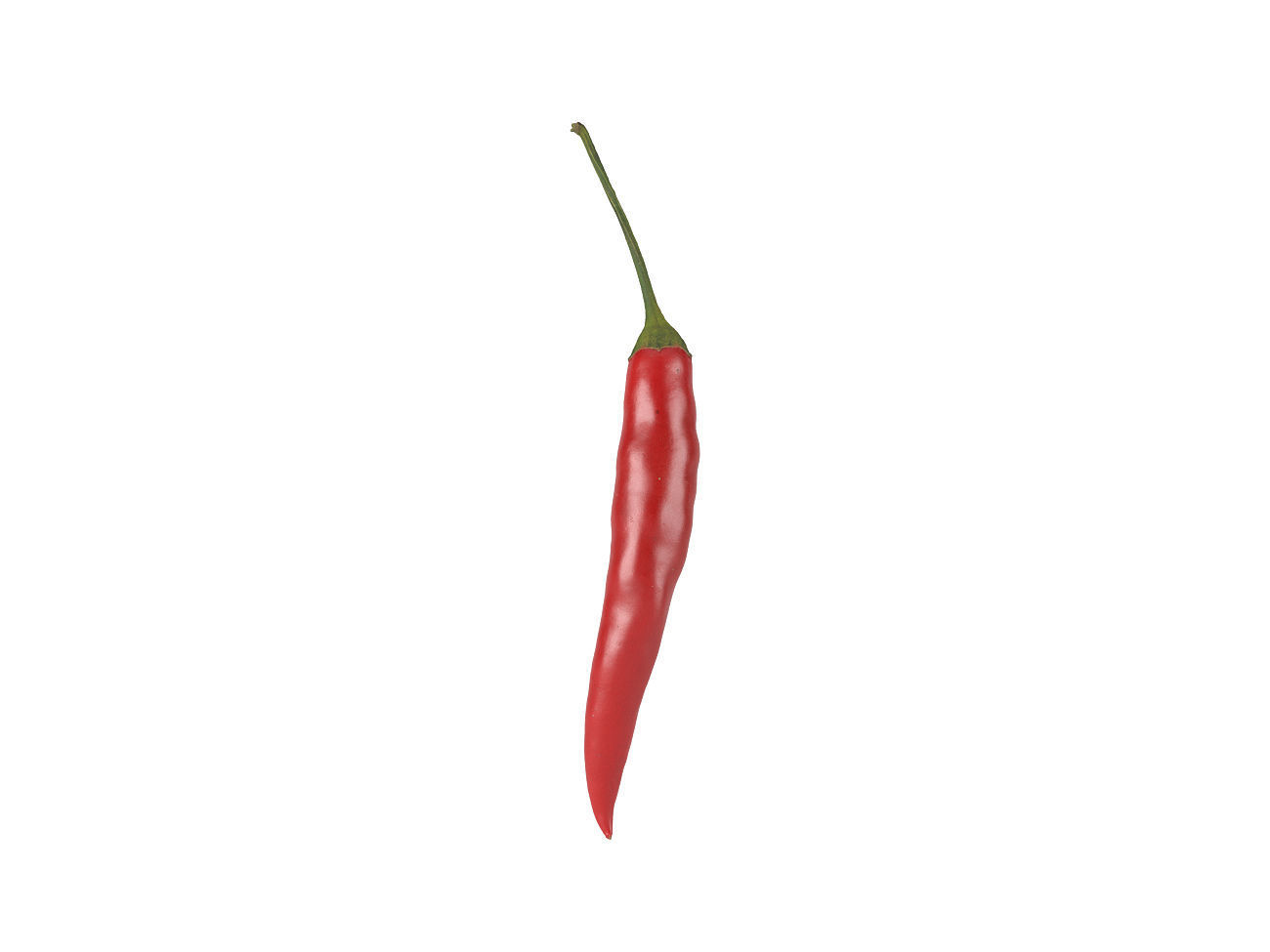 Photorealistic Chili 3D Scan 3D model 3D model_3