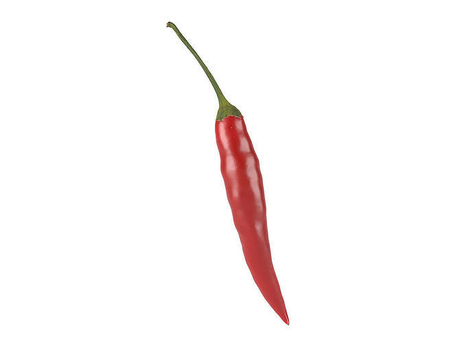 Photorealistic Chili 3D Scan 3D model 3D model