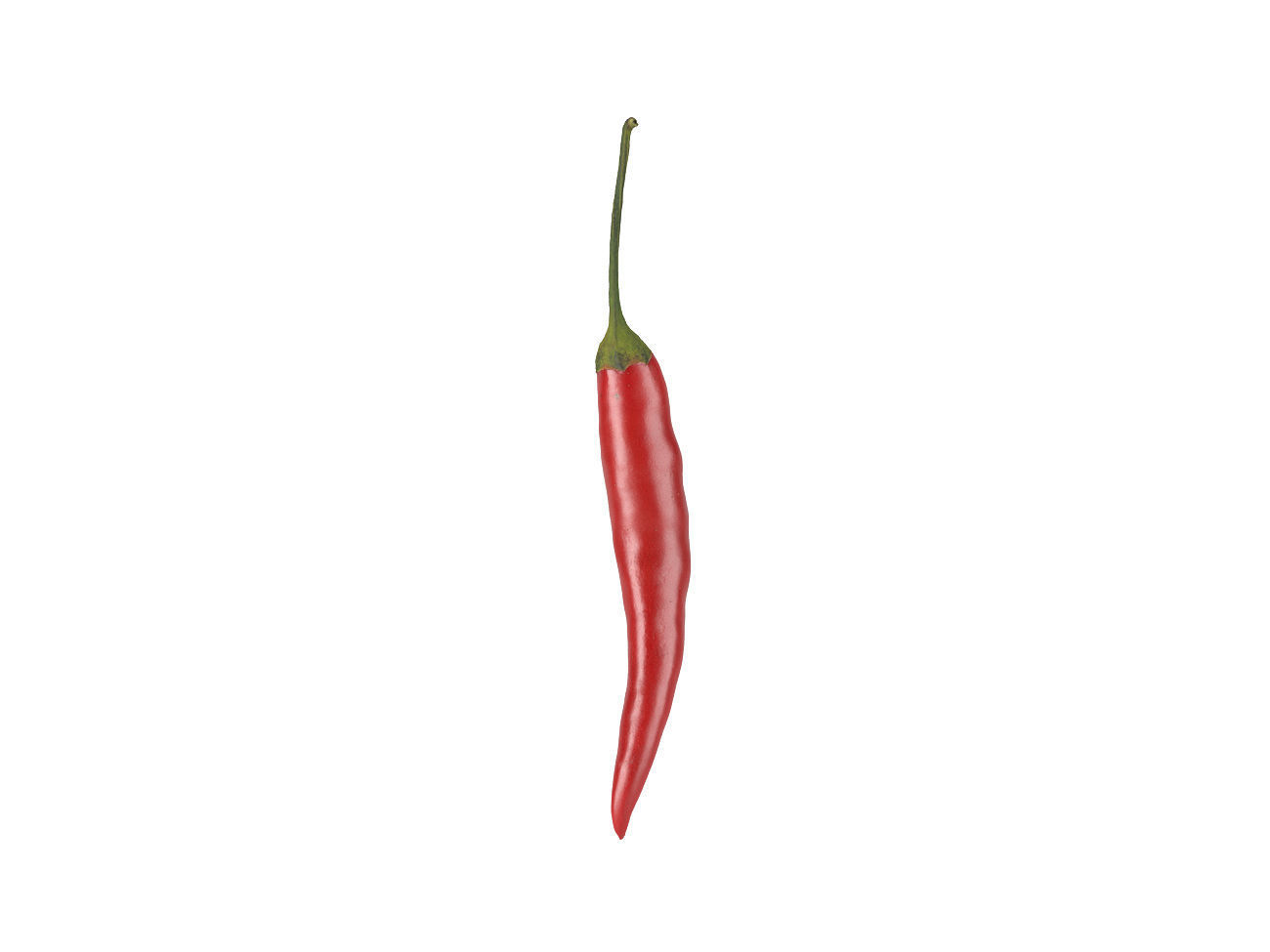 Photorealistic Chili 3D Scan 3D model 3D model_2