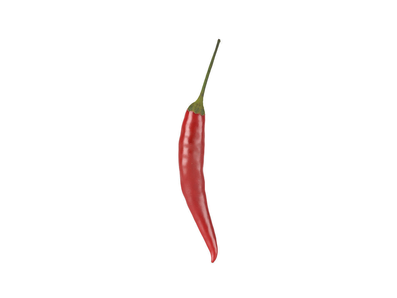 Photorealistic Chili 3D Scan 3D model 3D model_1
