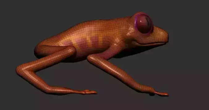Frog sculpt model high-low mesh